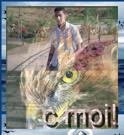 c moi la dans cette tof